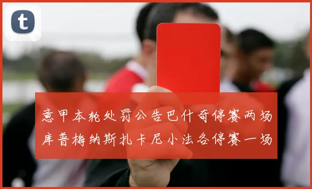 意甲本轮处罚公告巴什奇停赛两场库普梅纳斯扎卡尼小法各停赛一场