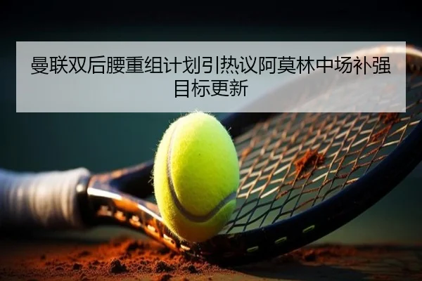 曼联双后腰重组计划引热议阿莫林中场补强目标更新